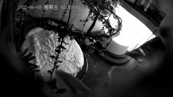 预览图14