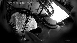 预览图16