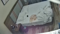 预览图4