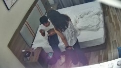 预览图13