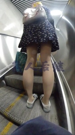 预览图3