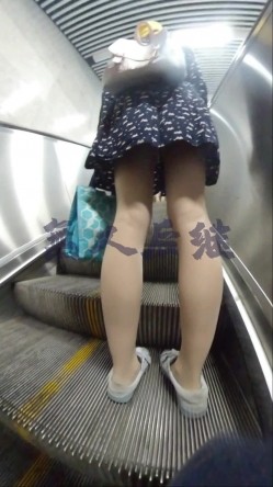 预览图4