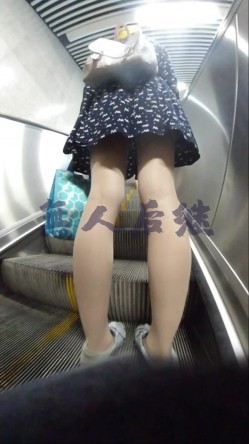 预览图5