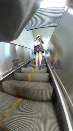 预览图12
