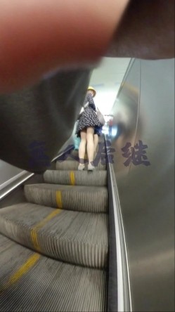 预览图13