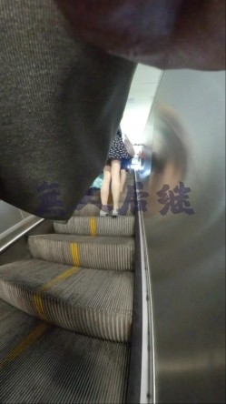 预览图14
