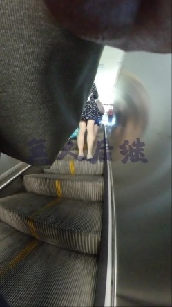 预览图15