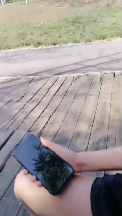 预览图2