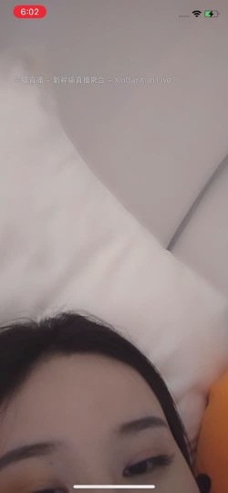 预览图16