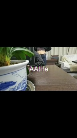 预览图6