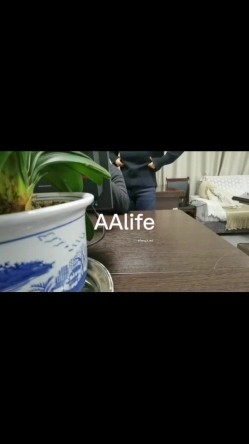 预览图7