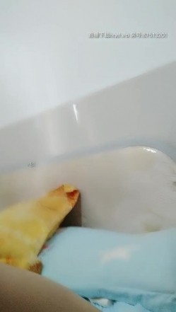 预览图5