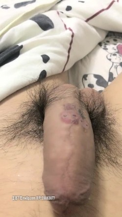 预览图3