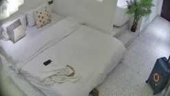 预览图4