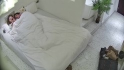预览图6