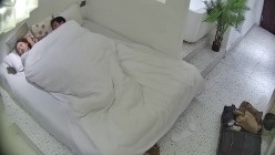预览图7