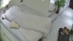预览图8