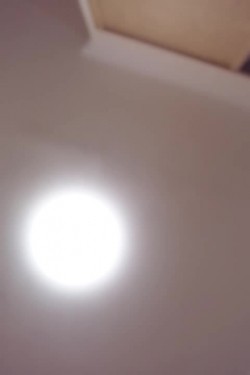 预览图12