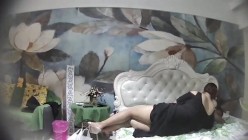 预览图4