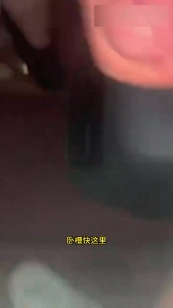 预览图13