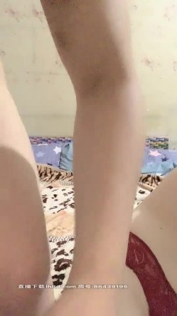 预览图7