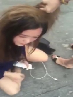 预览图2