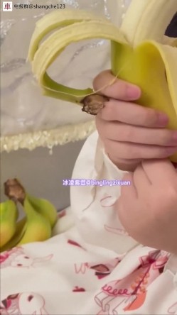 预览图4