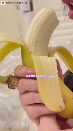 预览图5