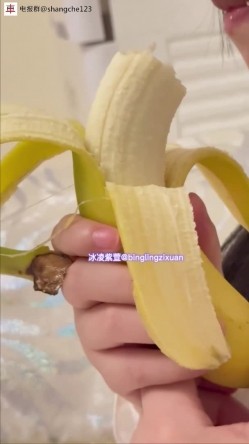 预览图6