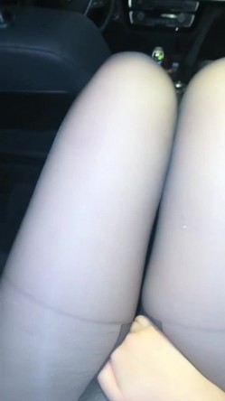 预览图8