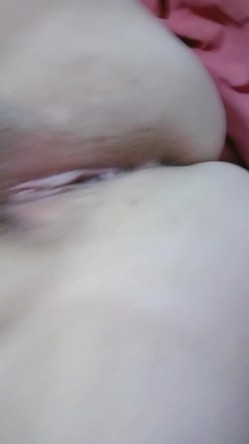 预览图4