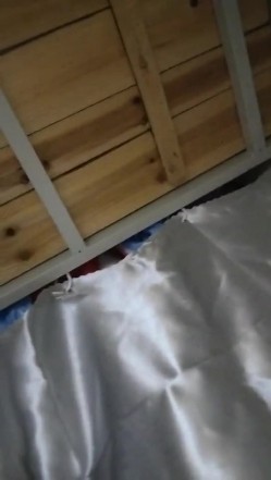 预览图14