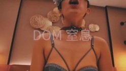 预览图15