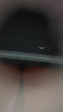 预览图11