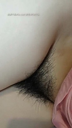 预览图10