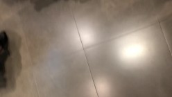 预览图9