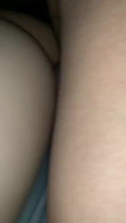 预览图5