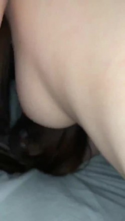 预览图8