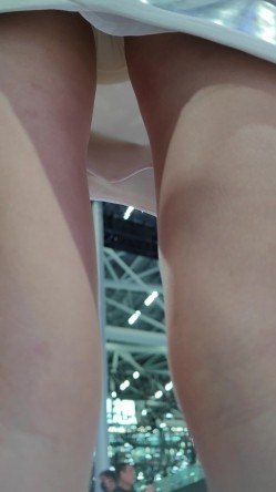 预览图6