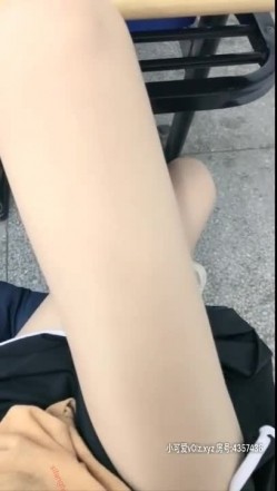 预览图8