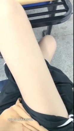 预览图9
