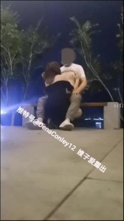预览图8