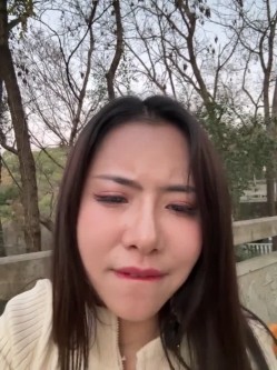 预览图14