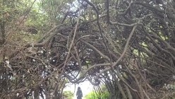 预览图7