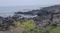 预览图8