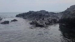 预览图15
