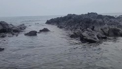 预览图16