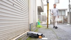 预览图1