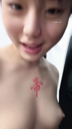 预览图4