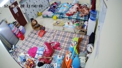 预览图2